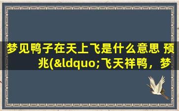 梦见鸭子在天上飞是什么意思 预兆(“飞天祥鸭，梦见鸭子在天上飞是何预兆？”)